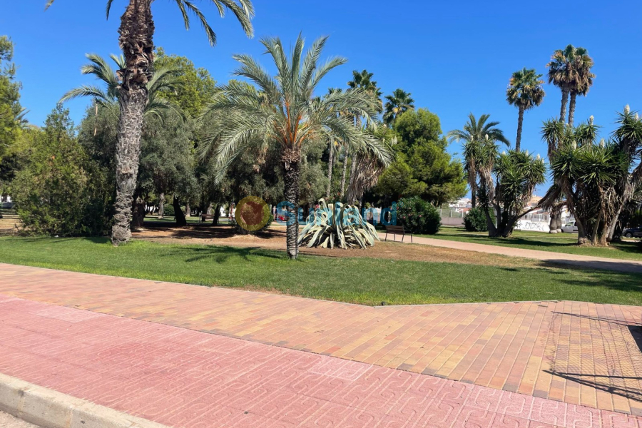 Använda fastigheter - Lägenhet - Torrevieja