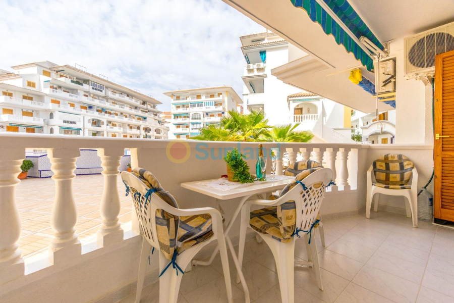 Segunda mano - Apartamento - Torrevieja - Los Europeos