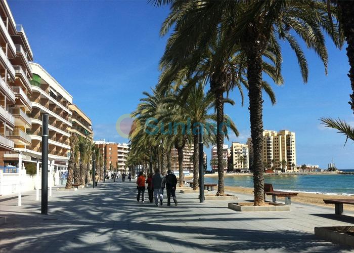 Ny bygg - Takvåning - Torrevieja - Playa del Cura