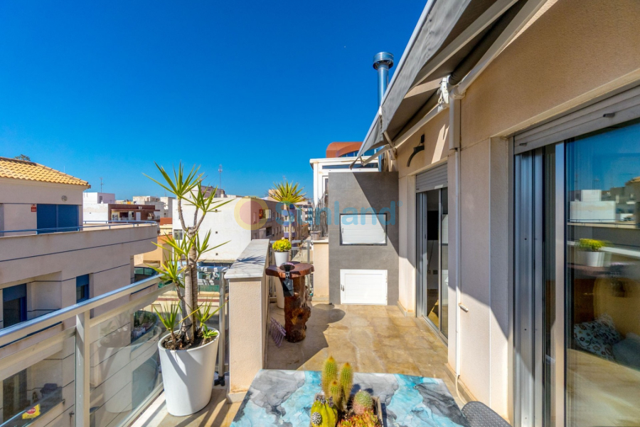 Segunda mano - Apartamento - Torrevieja - Centro