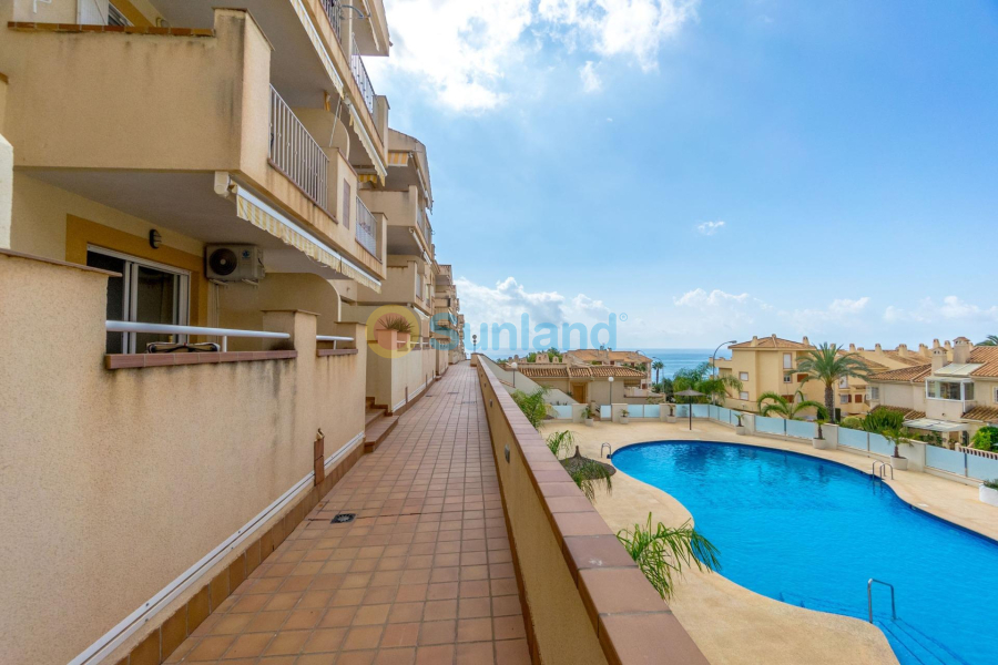 Verkauf - Apartment - Orihuela Costa - Campoamor