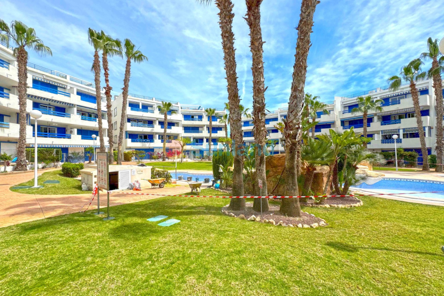 Segunda mano - Apartamento - Orihuela Costa - Playa Flamenca