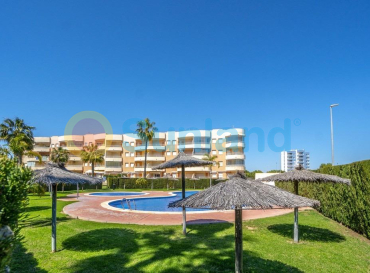 Apartamento - Segunda mano - Orihuela Costa - Campoamor