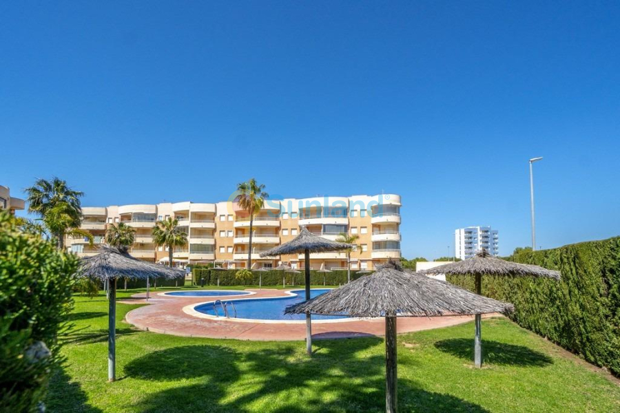 Använda fastigheter - Lägenhet - Orihuela Costa - Campoamor