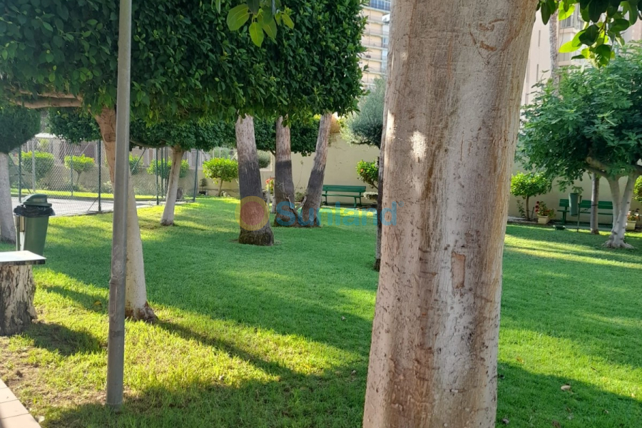 Resale - Apartment - Benidorm - Levante