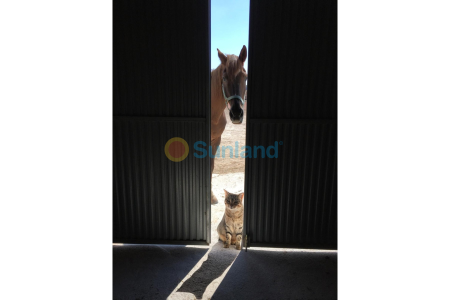 Resale - Country house - Torre Del Rico