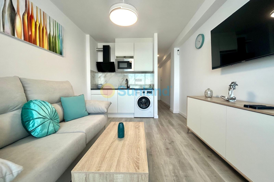 Long time Rental - Apartment - Torrevieja - Cabo Cervera