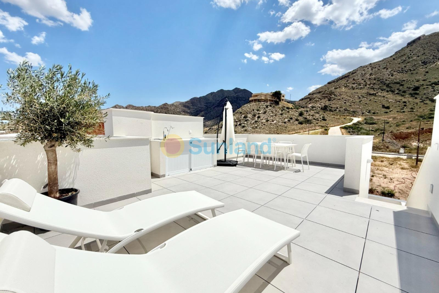 Новостройка - Town House - Cox - San Fernando