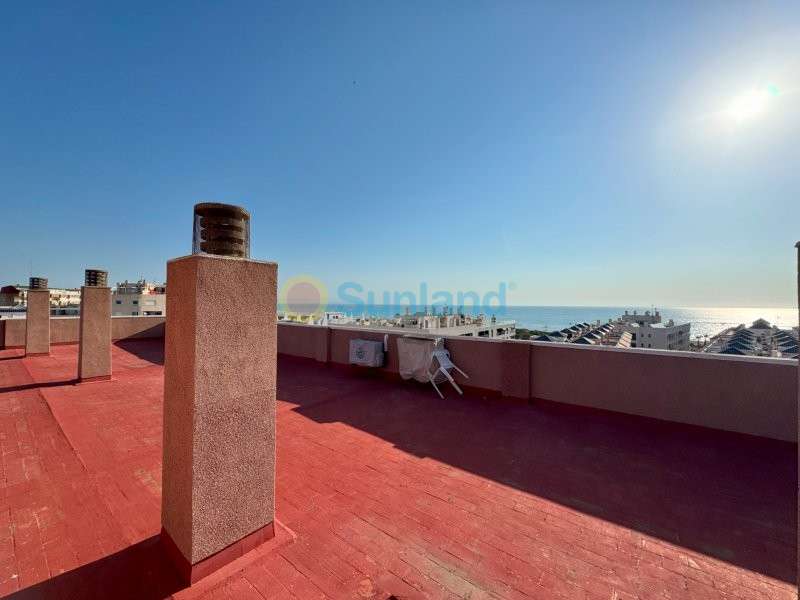 Verkauf - Apartment - La Mata