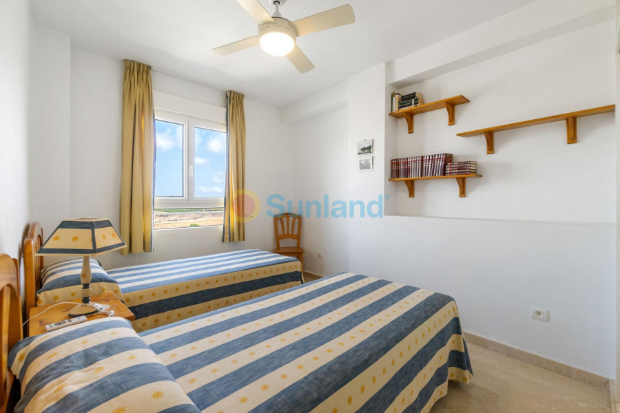 Segunda mano - Apartamento - Orihuela - Zona Centro