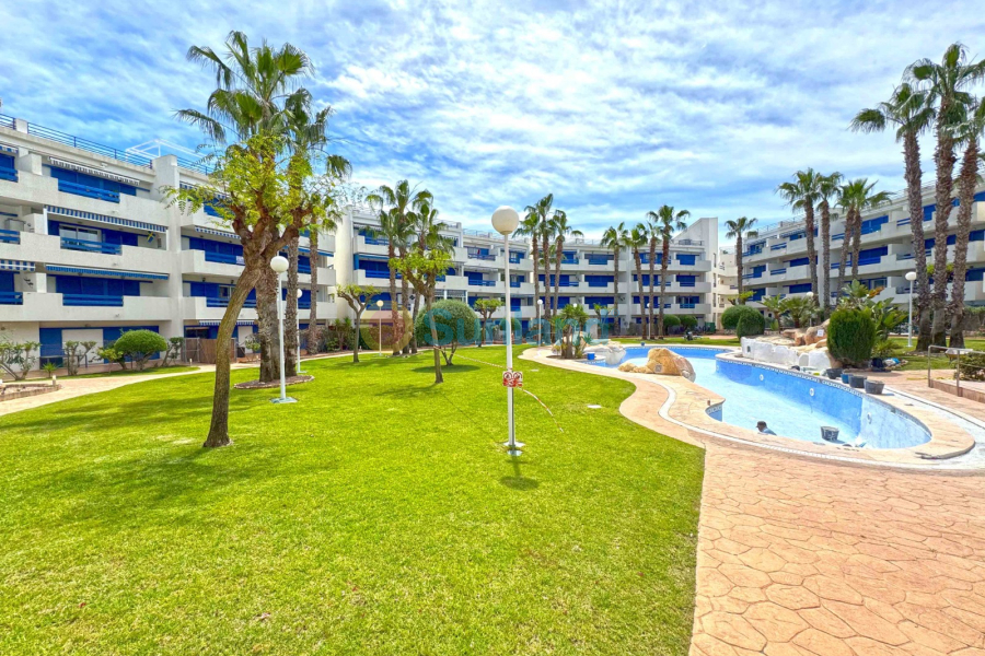 Segunda mano - Apartamento - Orihuela Costa - Playa Flamenca
