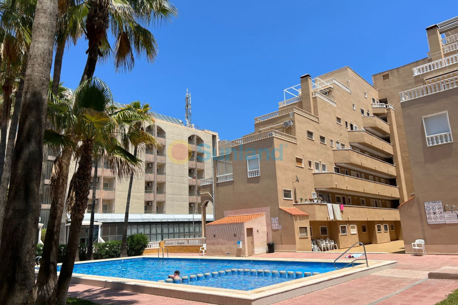 Brukte eiendommer - Apartment / flat - Punta Prima - Punta Prima Torrevieja