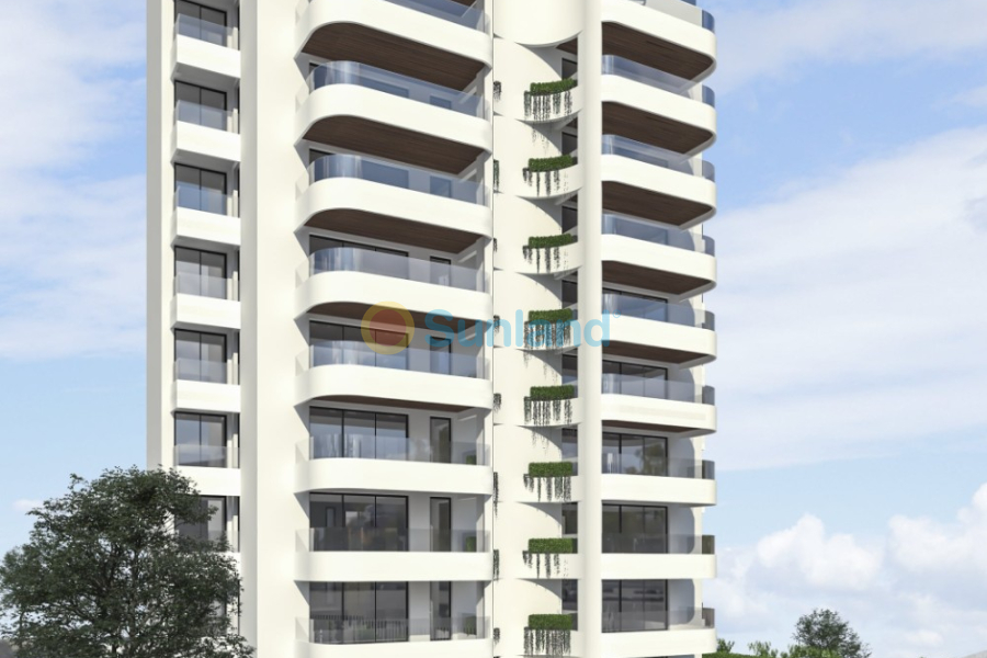 New Build - Apartment - Guardamar del Segura