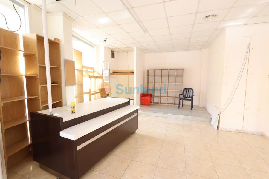 Segunda mano - C - Torrevieja - Estacion de autobuses