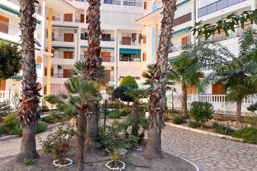 Använda fastigheter - Apartamento - Torrevieja - La Mata