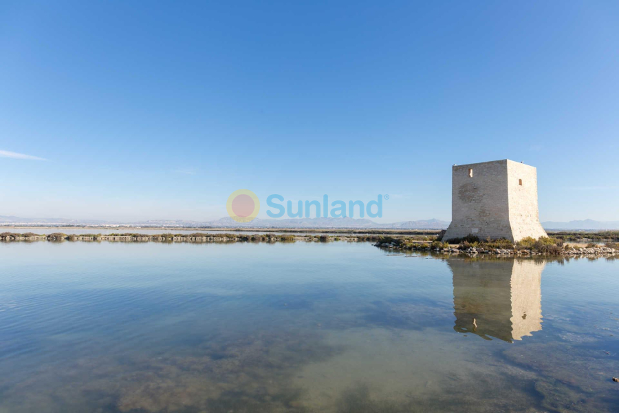 Ny bygg - Leilighet - Santa Pola - Estacion de autobuses