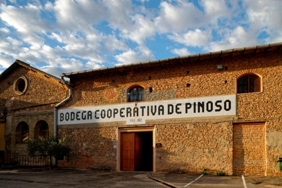 Ny bygg - Villa - Pinoso - Campo