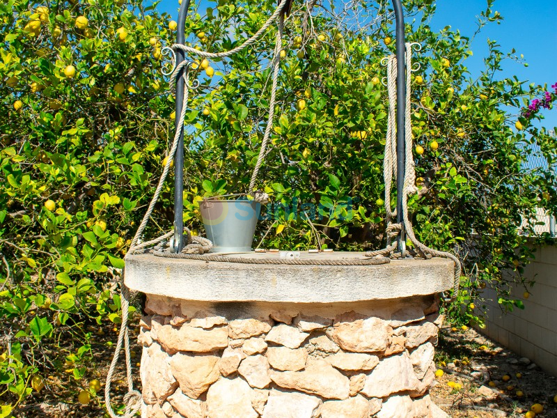 Brukte eiendommer - Villa - Guardamar del Segura - El Raso