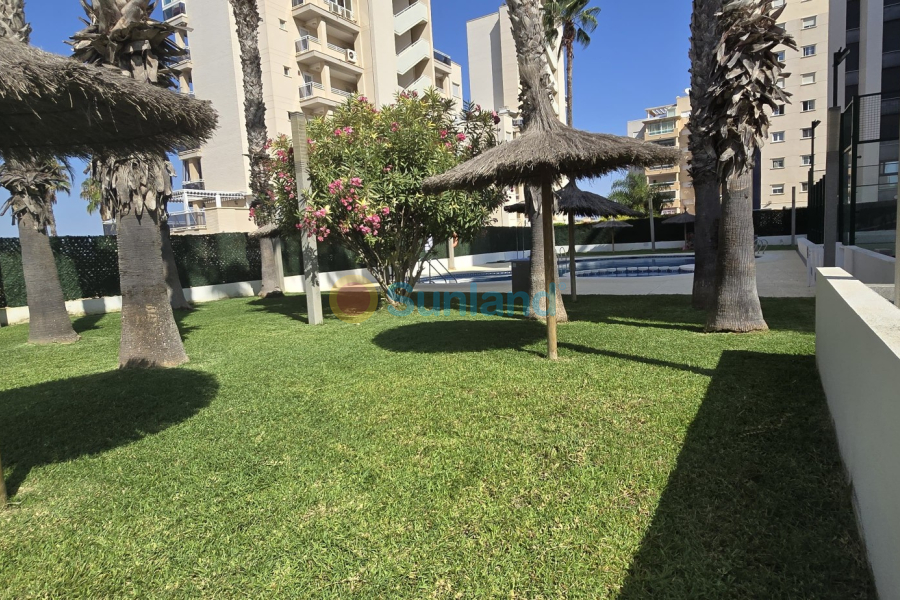 Resale - Apartment - Guardamar del Segura - 