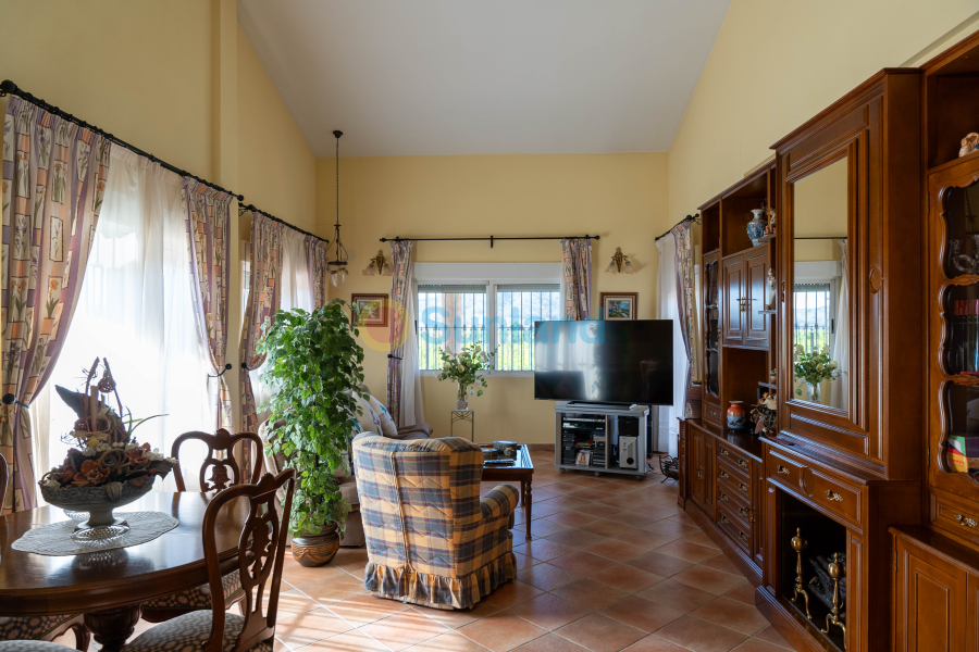 Använda fastigheter - Villa - Orihuela