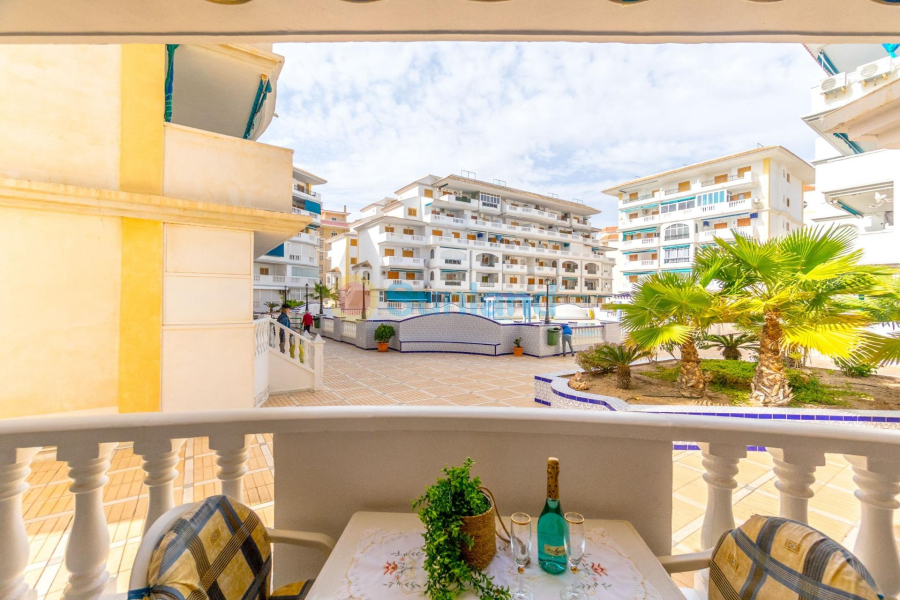 Segunda mano - Apartamento - Torrevieja - Los Europeos