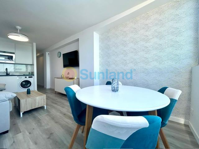 Long time Rental - Apartment - Torrevieja - Cabo Cervera