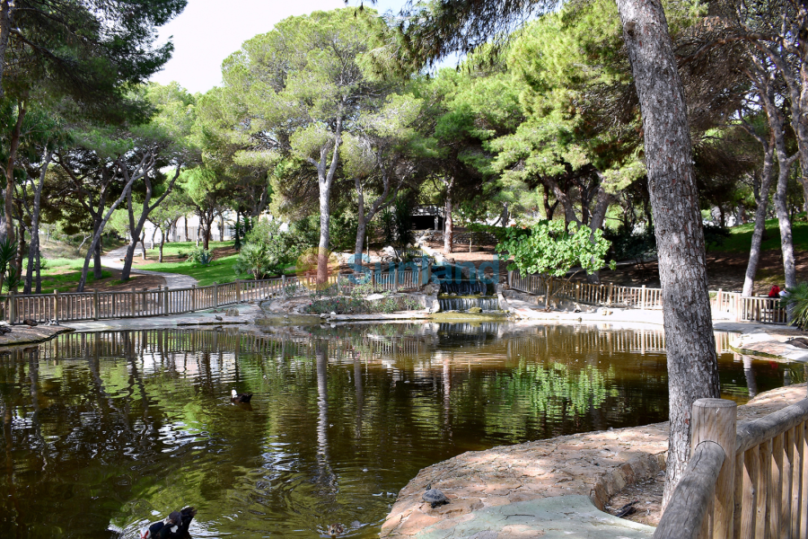 Brukte eiendommer - Leilighet - Guardamar del Segura