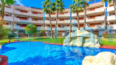 Segunda mano - Apartamento - Playa Flamenca - El Rincon