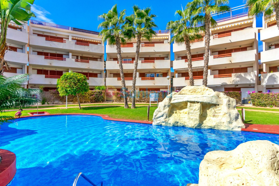 Resale - Apartment - Playa Flamenca - El Rincon