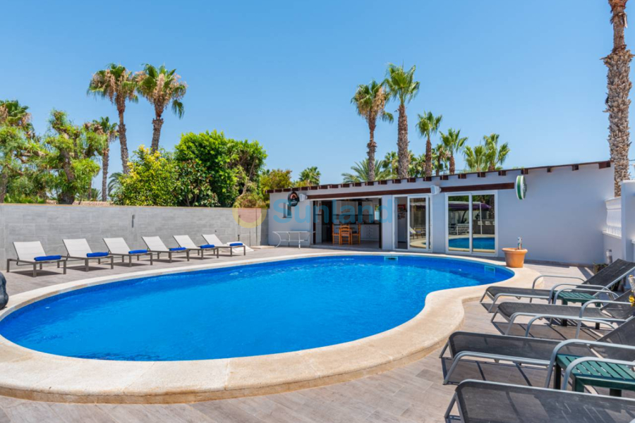 Brukte eiendommer - Country house - Catral