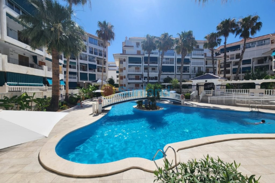 Resale - Apartment - La Mata - 