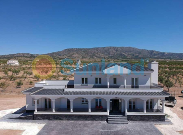 Villa - Ny bygg - Pinoso - Camino Del Prado