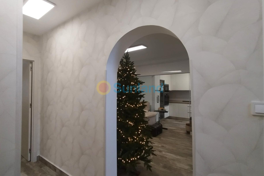 Använda fastigheter - V - San Miguel De Salinas - Las filipinas