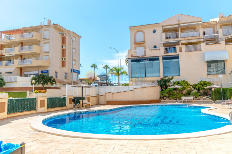 Segunda mano - Apartamento - Orihuela Costa - Campoamor