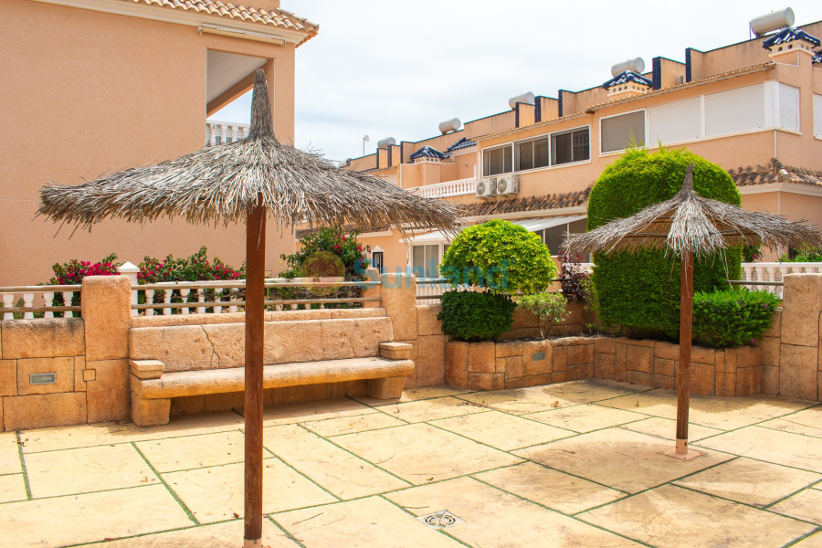 Segunda mano - Adosado - Orihuela - Villamartín