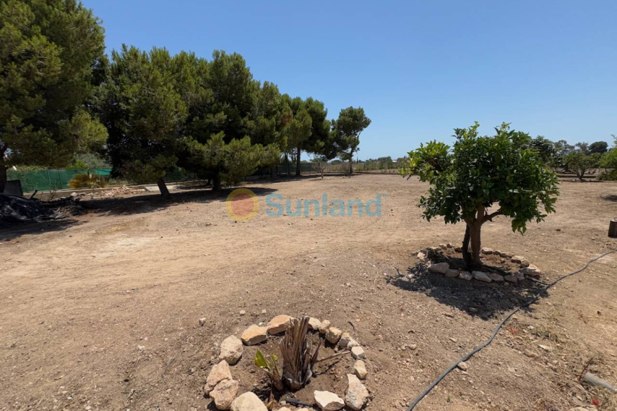 Resale - Country house - Torrellano