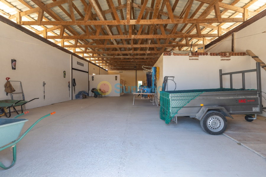 Resale - Country house - Torre Del Rico