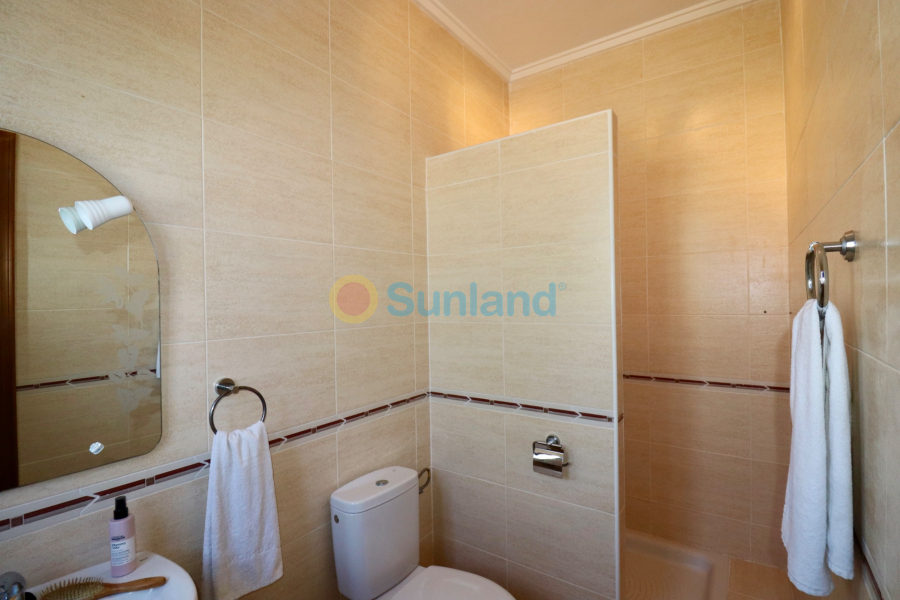 Använda fastigheter - Country house - Catral