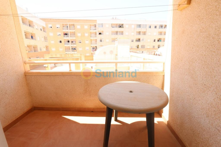 Segunda mano - A - Torrevieja - El Molino