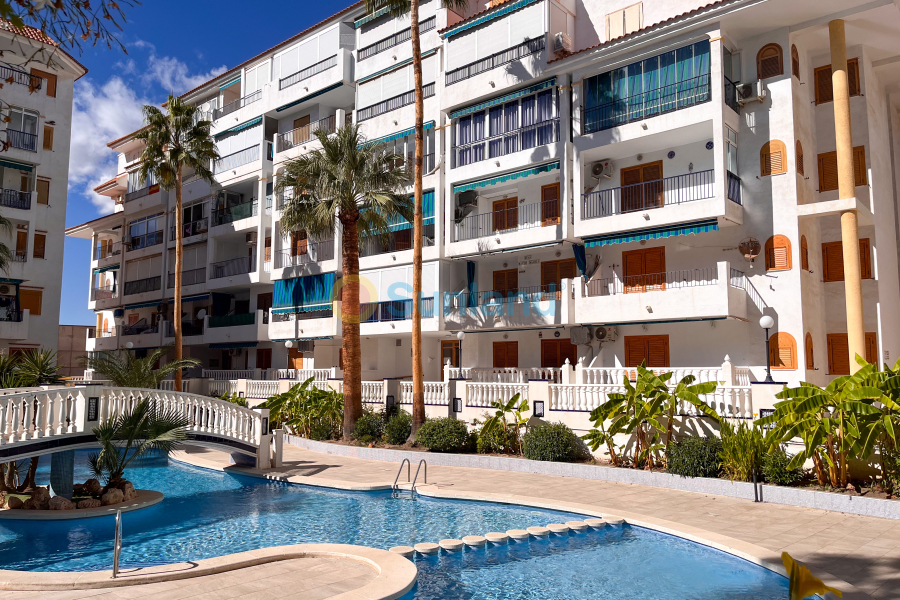 Använda fastigheter - Apartamento - Torrevieja - La Mata