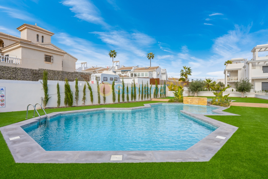 Segunda mano - Ground floor apartment - Ciudad Quesada - Rojales