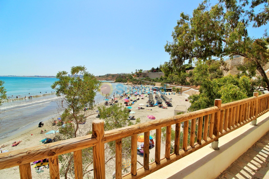 Segunda mano - Chalet - Playa Flamenca