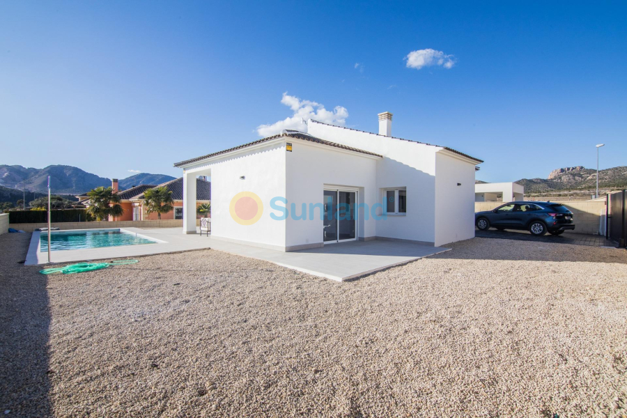 New Build - Villa - Pinoso - Campo