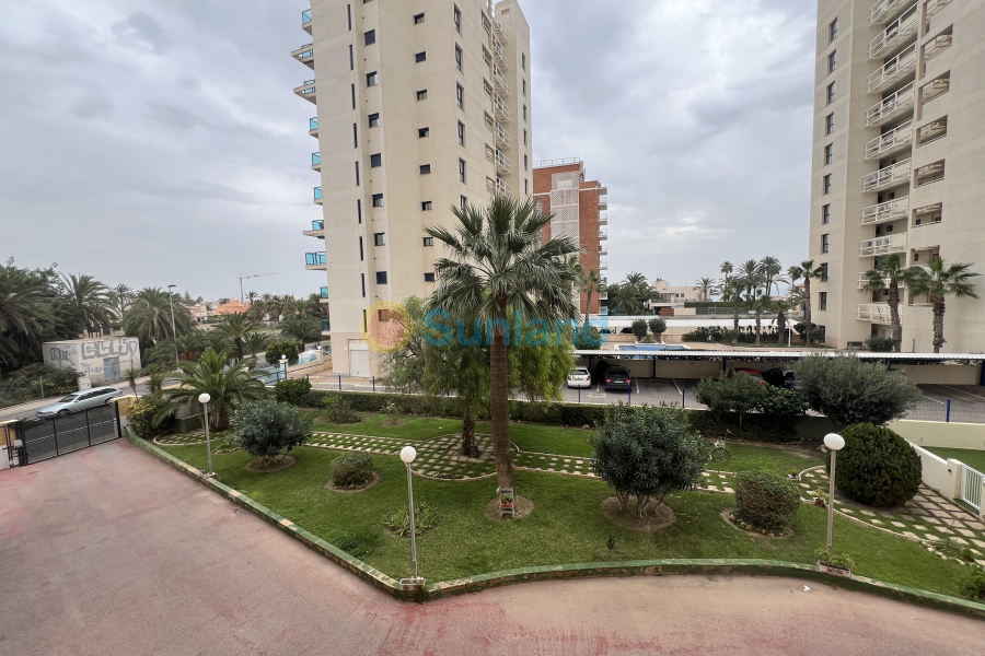 Brukte eiendommer - Apartamento - Torrevieja - La Veleta