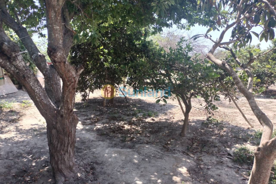 Brukte eiendommer - Country house - Rojales - Ciudad Quesada