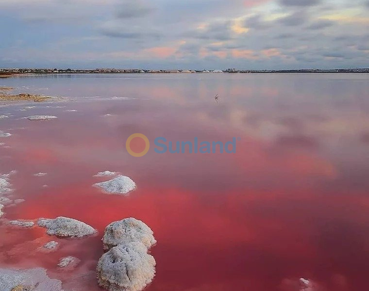 New Build - Ground Floor Bungalow - Torrevieja - Lago Jardín II