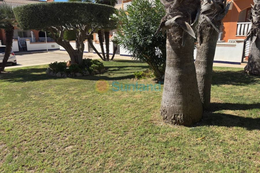 Verkauf - Haus - Ciudad Quesada