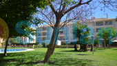 Resale - Apartment - Orihuela Costa - Playa Flamenca