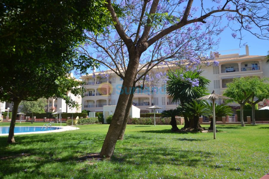 Resale - Apartment - Orihuela Costa - 