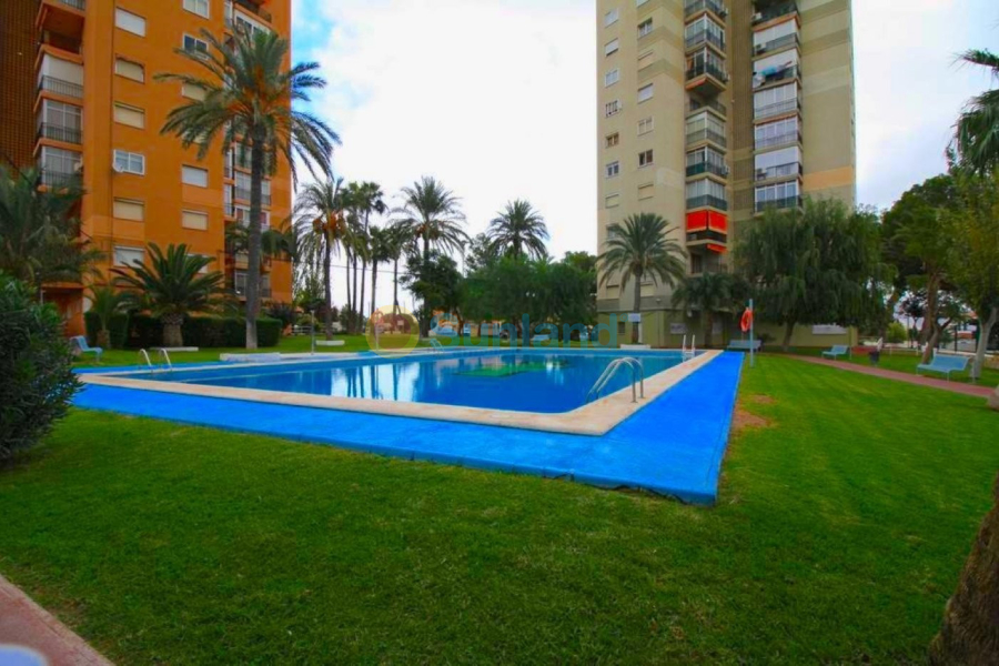 Вторичка - Апартамент - Benidorm - Colonia Madrid